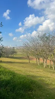 a group of trees in a field of grass at Golf view Villa with Jacuzzi- By AppartAli in Bouskoura