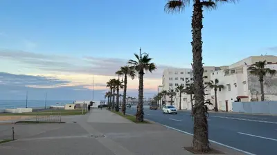 a street with palm trees on the side of a road at SUITOUISS - Océan 1 - Appartement centre ville au front de mer in Rabat