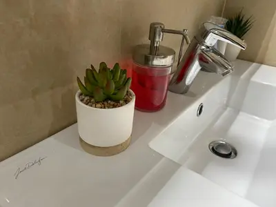 a plant sitting on top of a bathroom sink at Architects Haven in Luxury 3BR - Near Train & Tramway in Casablanca