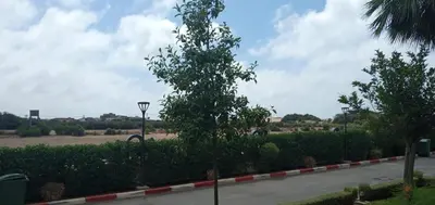 a street with two trees on the side of a road at Garden Bay - Appartement en bord de mer in Tamaris